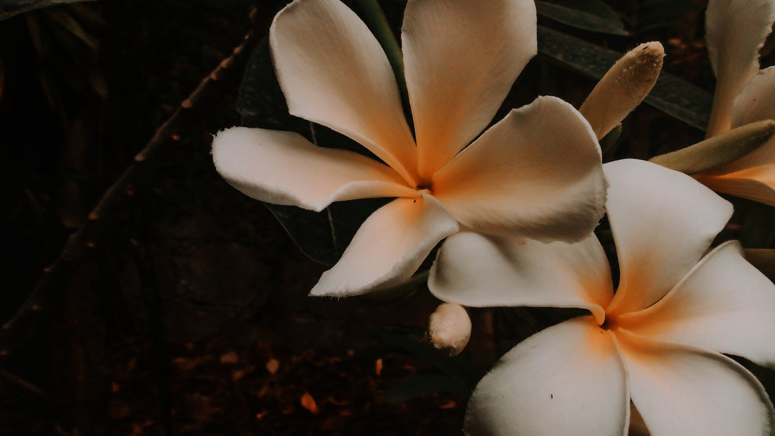 6 Things You Should Know About Day of the Dead–the Philippines Version