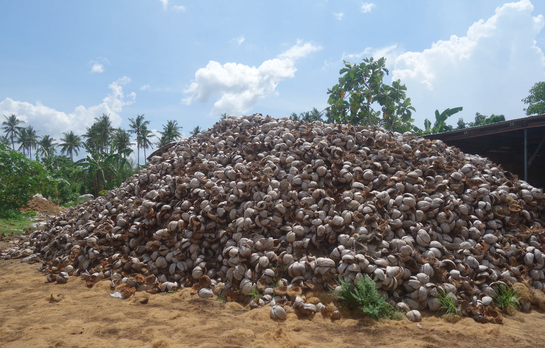 Pile of coconuts husks leftover as agricultural waste